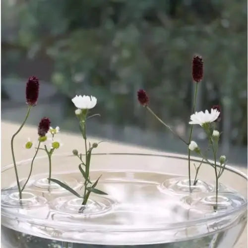 2x1 ZenFloat Vase - Arreglo FLoral Flotante PROMO