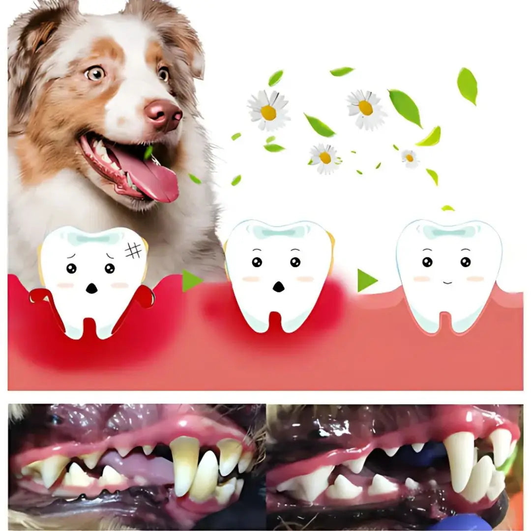 2x1 Sonrisa Brillante Yegbong- Cuidado Total Dental