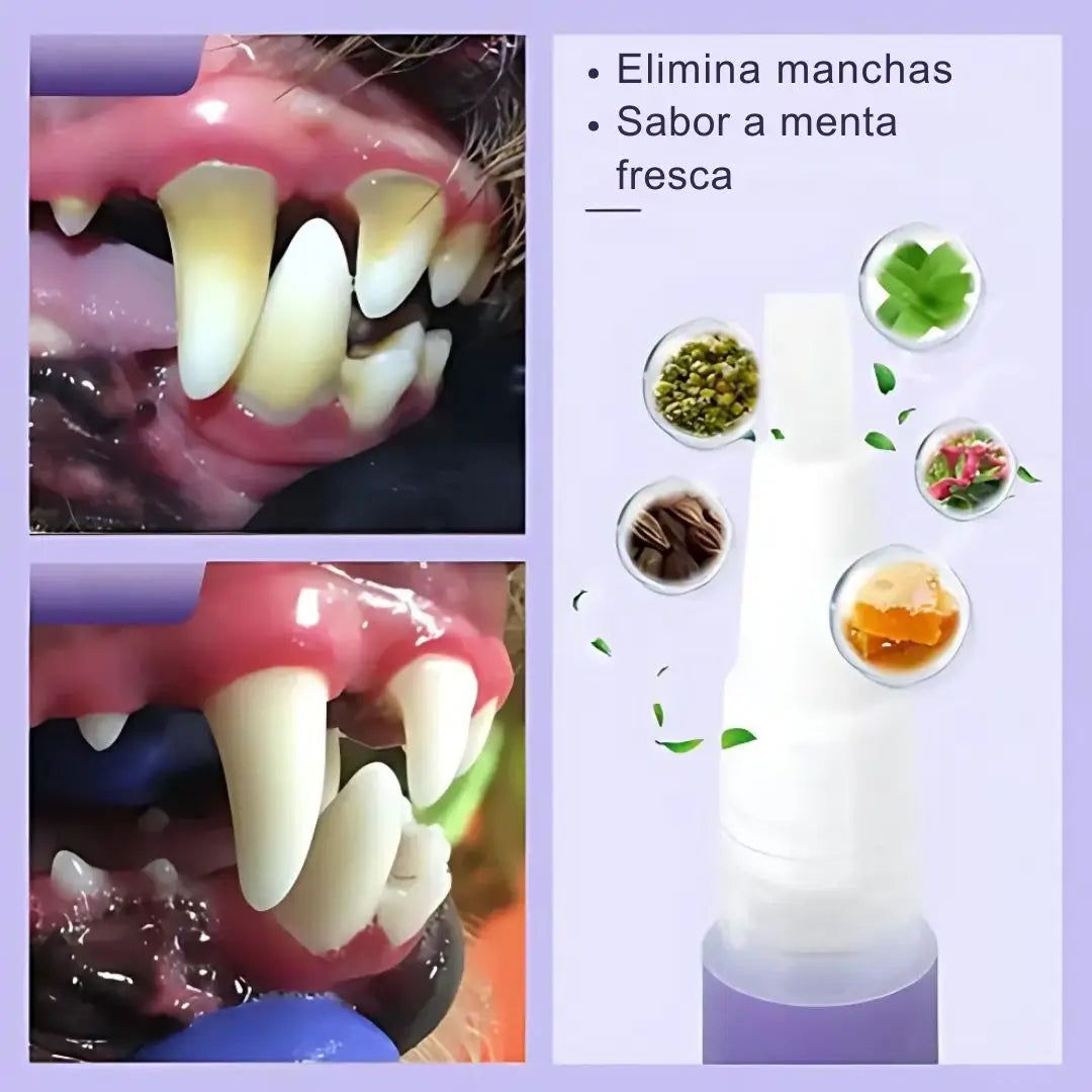 2x1 Sonrisa Brillante Yegbong- Cuidado Total Dental