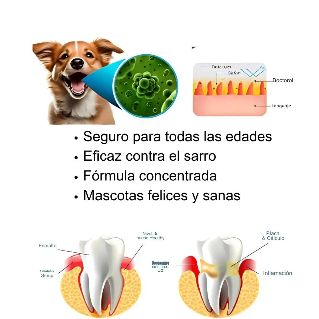 2x1 Sonrisa Brillante Yegbong- Cuidado Total Dental