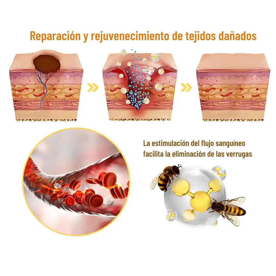 Tag Recede: Apoyo Natural en tu Rutina