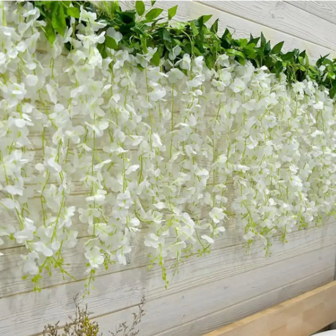 Wisteria Árbol Chino – Semillas Decorativas de Floración Colgante