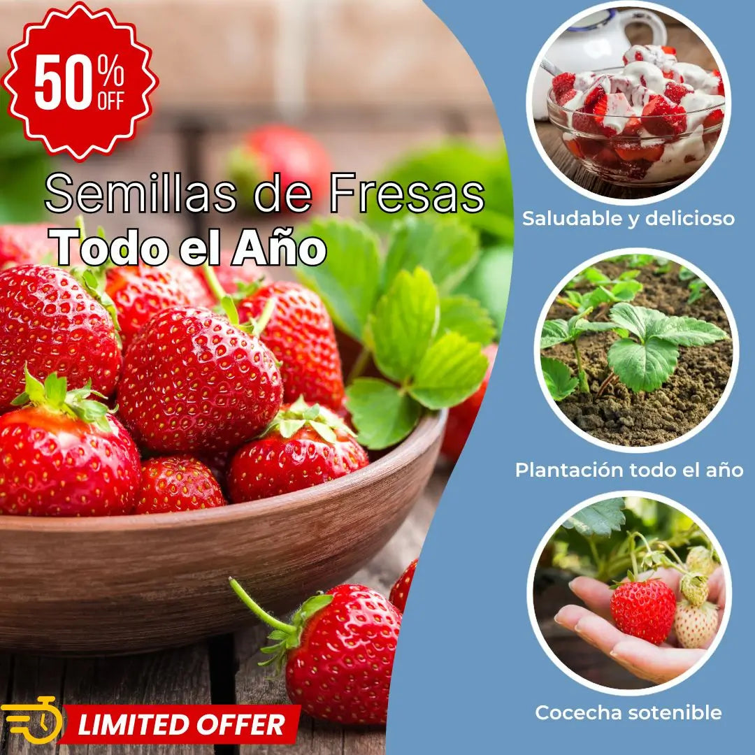 Semillas de fresa para todo el año
