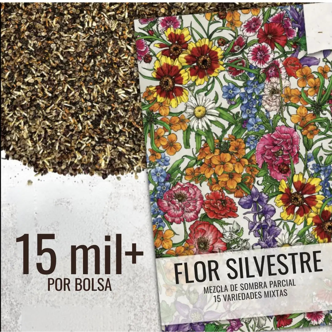 Mezcla de semillas de flores silvestres de primera calidad