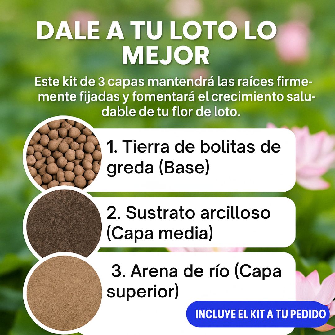 TIERRA ABONADA ESPECIAL PARA FLOR DE LOTO