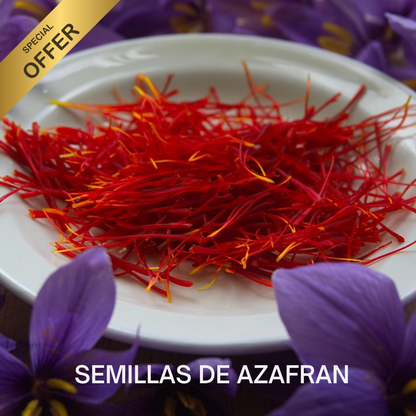 Semillas de Azafrán Doble