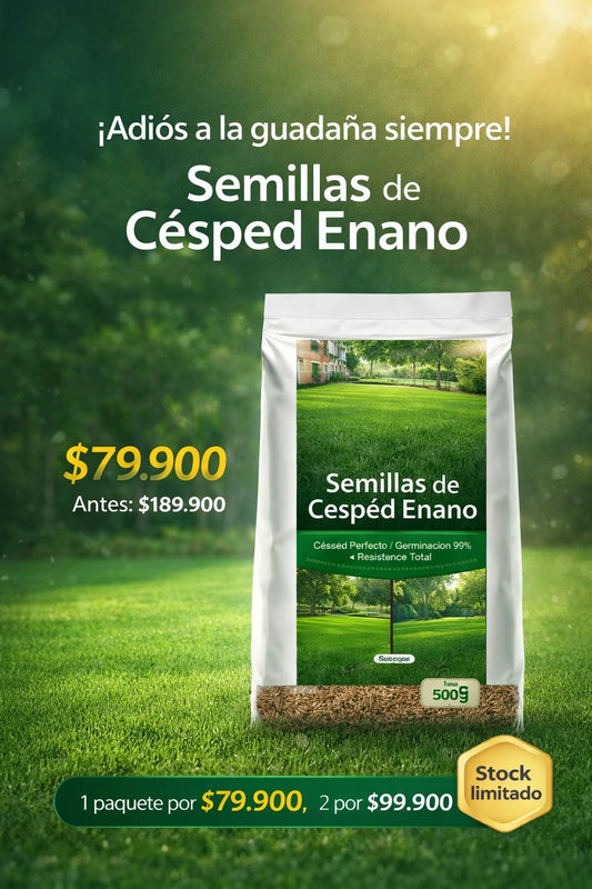 Semillas para Pasto