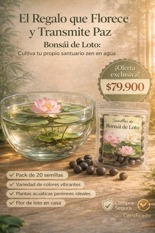 Semillas de Loto para Mamá