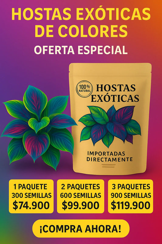 Semillas de Hosta Exótica de Colores - PROMO 🤩
