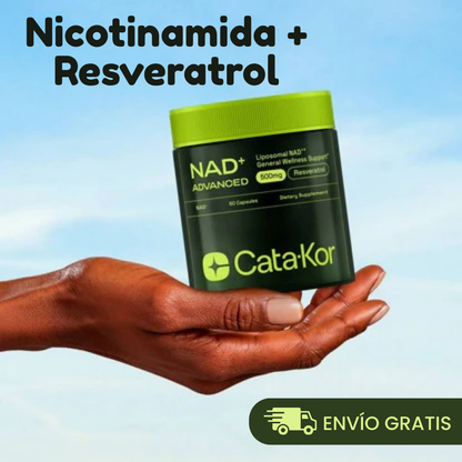 Nicotinamide + Resveratrol 60 Caps