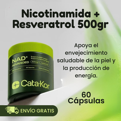 Nicotinamide + Resveratrol 60 Caps