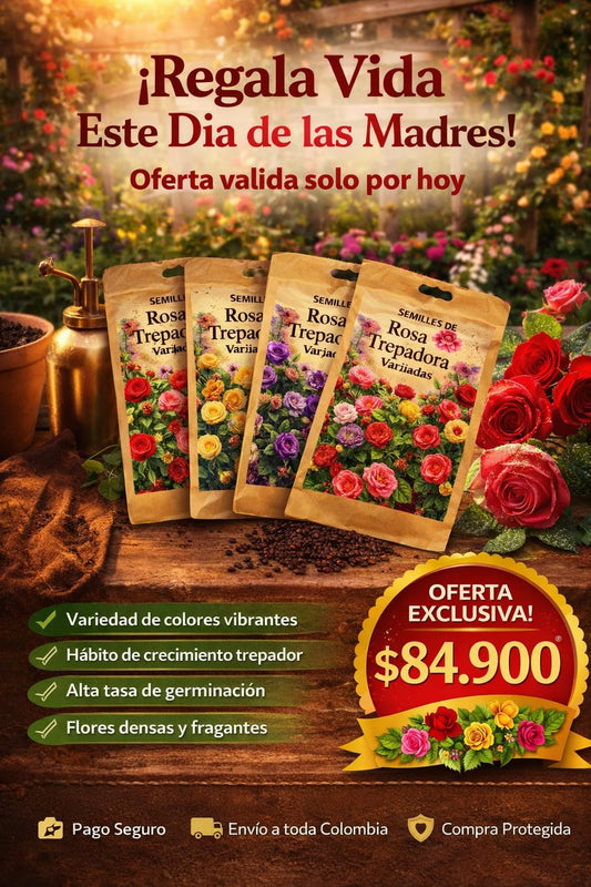 Semillas de Rosa Trepadora para Mamá