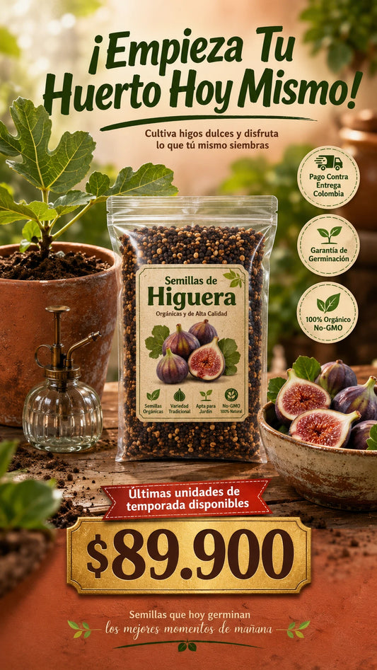 Semillas de Plántulas de Higuera