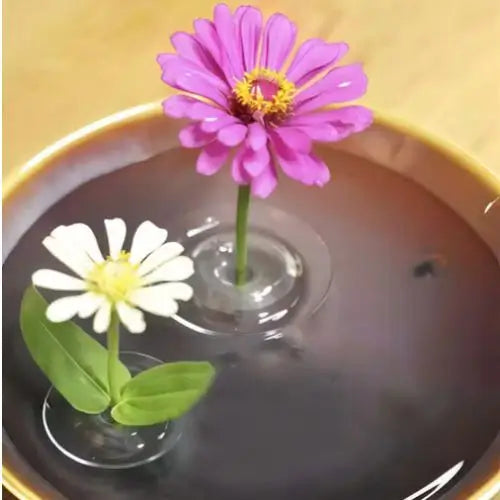 2x1 ZenFloat Vase - Arreglo FLoral Flotante PROMO