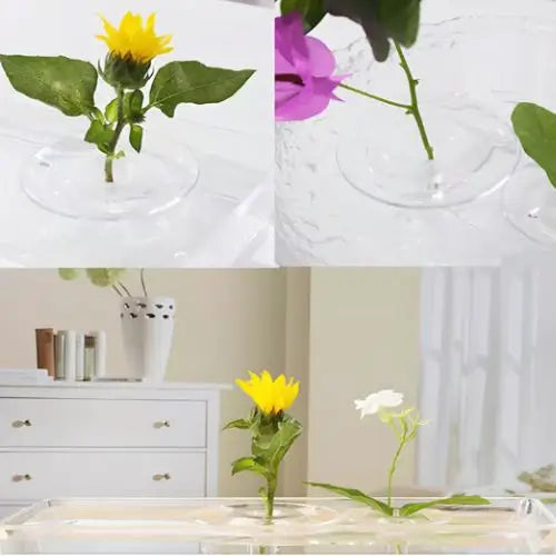 2x1 ZenFloat Vase - Arreglo FLoral Flotante PROMO
