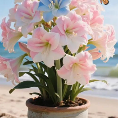 Bulbos de Tulipanes Perfumados De Doble Pétalo