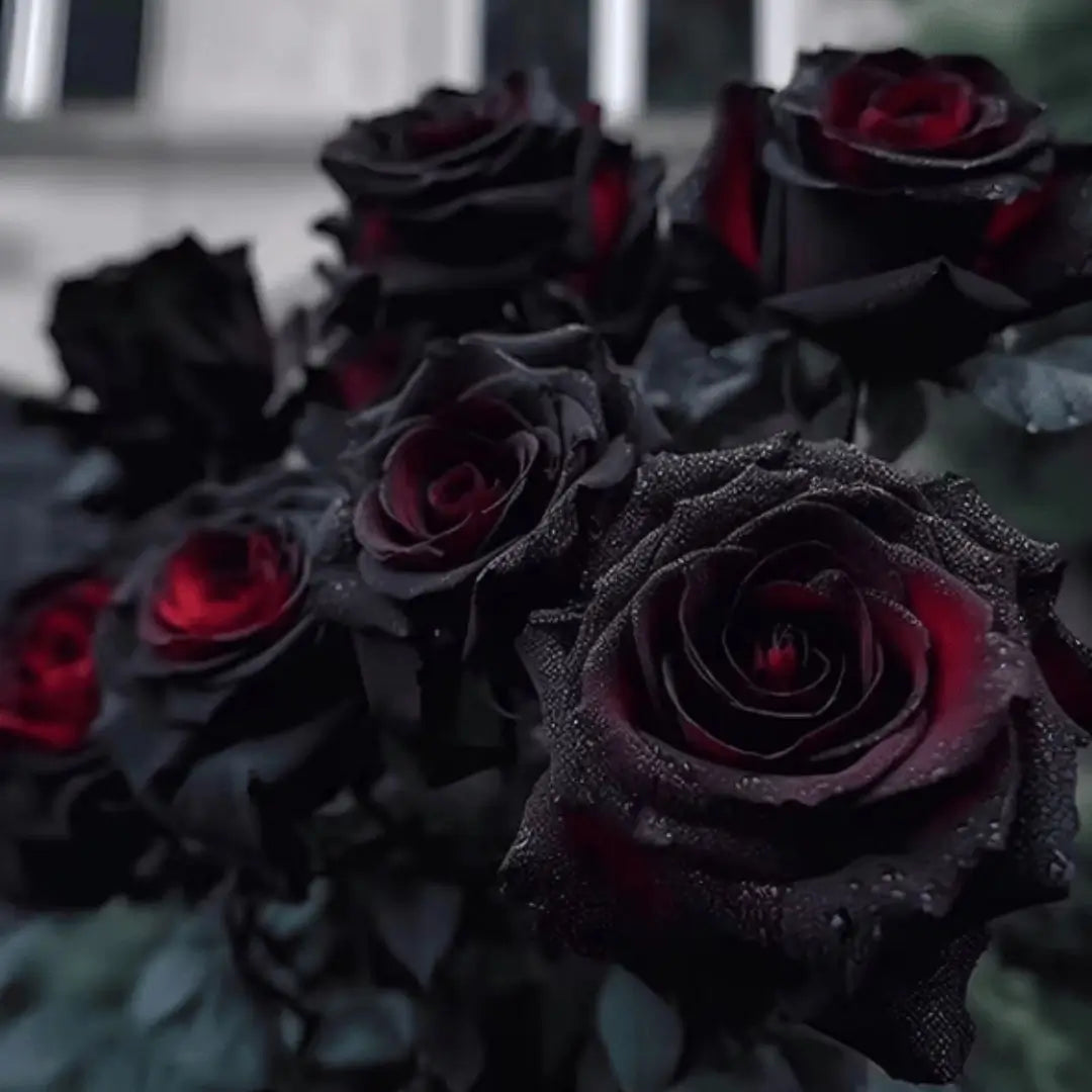 Combo Especial Semillas de Rosa Trepadora + Rosa Negra Exótica