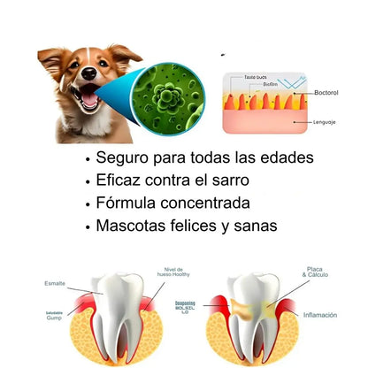 2x1 Sonrisa Brillante Yegbong- Cuidado Total Dental