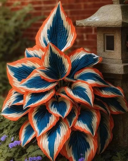 Semillas Hosta de Colores Vibrantes