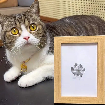 PetTouch - El Mejor Recuerdo De Tu Mascota