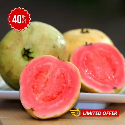 Semillas de Tu Árbol Tropical de Guayaba Roja Orgánica