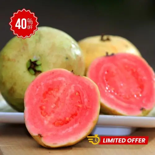 Semillas de Tu Árbol Tropical de Guayaba Roja Orgánica