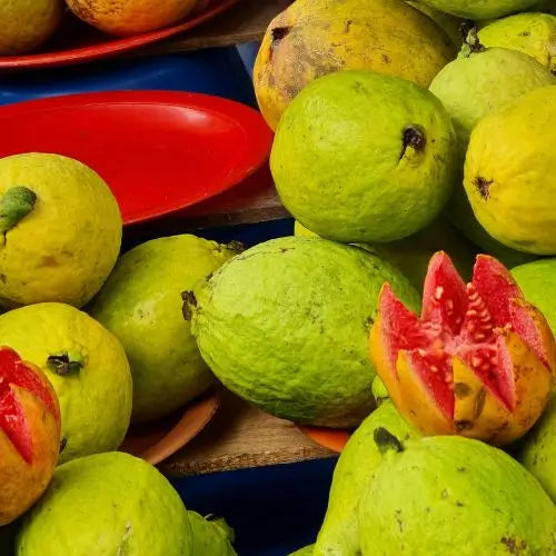 Semillas de Tu Árbol Tropical de Guayaba Roja Orgánica