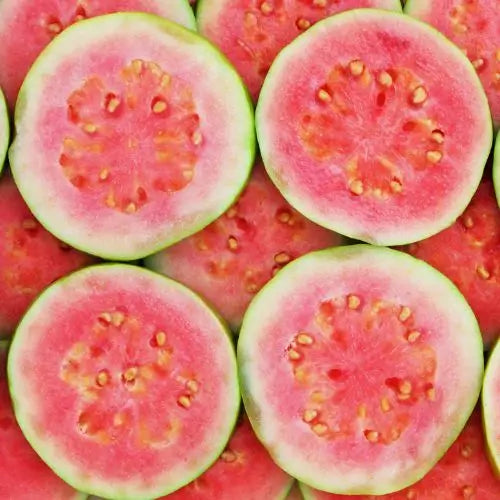 Semillas de Tu Árbol Tropical de Guayaba Roja Orgánica