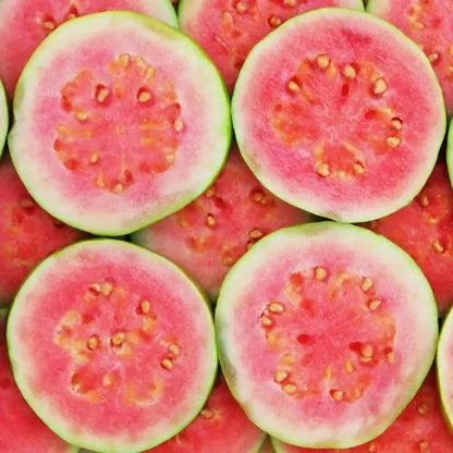 Semillas de Tu Árbol Tropical de Guayaba Roja Orgánica