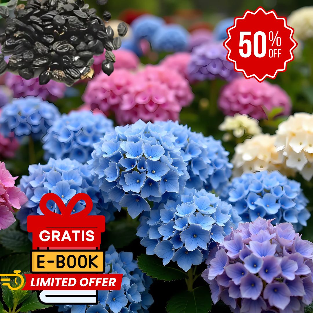 Semillas Seleccionadas de Hortensias - Transformando Espacios Verdes