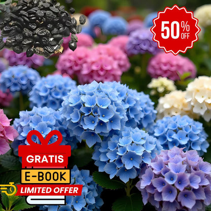 Semillas Seleccionadas de Hortensias - Transformando Espacios Verdes