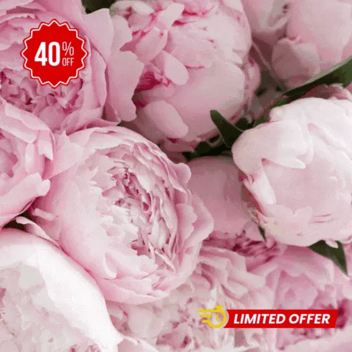 Jardín Exclusivo Con Semillas de Peonías