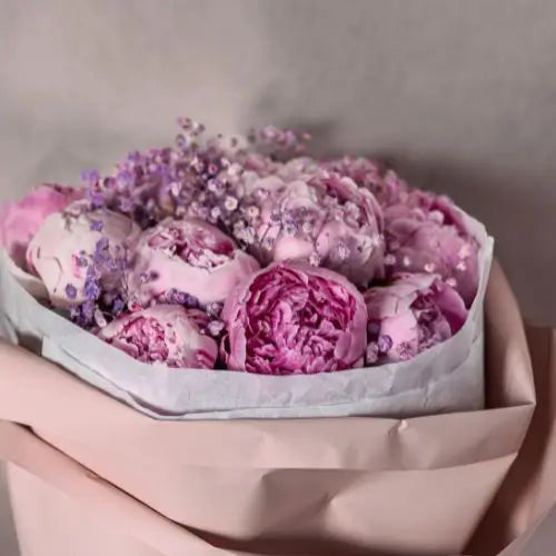 Jardín Exclusivo Con Semillas de Peonías