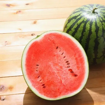 Semillas de Sandía Express Baby