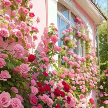 Semillas Rosas Mágicas Trepadoras ✨🌸