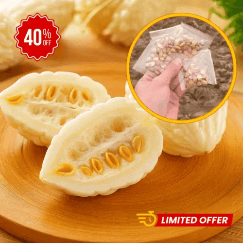 Semillas Melón Blanco – Exótica fruta oriental para tu bienestar