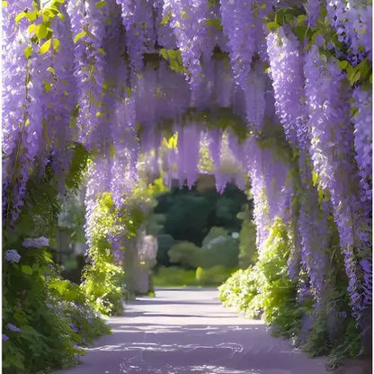 Combo Floral  Glicinias + Hortensia - Dúo Regalo de la Naturaleza