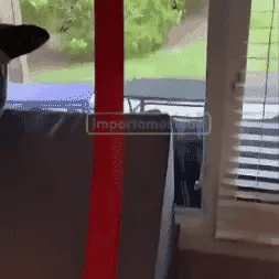 FlexiRace World - Mundo de Carreras 360°