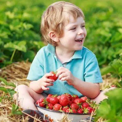 Combo PROMO: 200 Semillas Mora + 200 Semillas Fresa