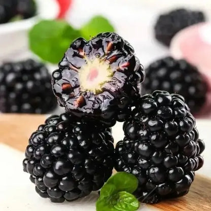 Combo PROMO: 200 Semillas Mora + 200 Semillas Fresa