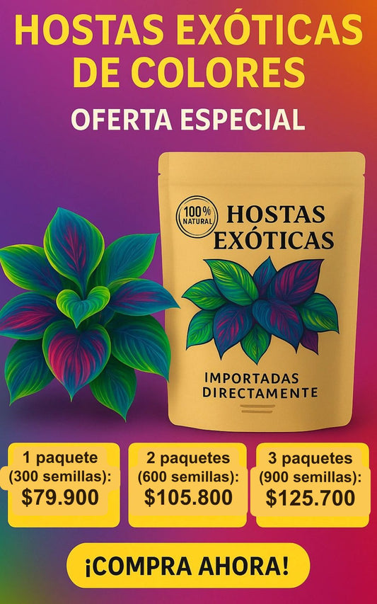 Semillas de Hosta Exótica de Colores - PROMO 🤩