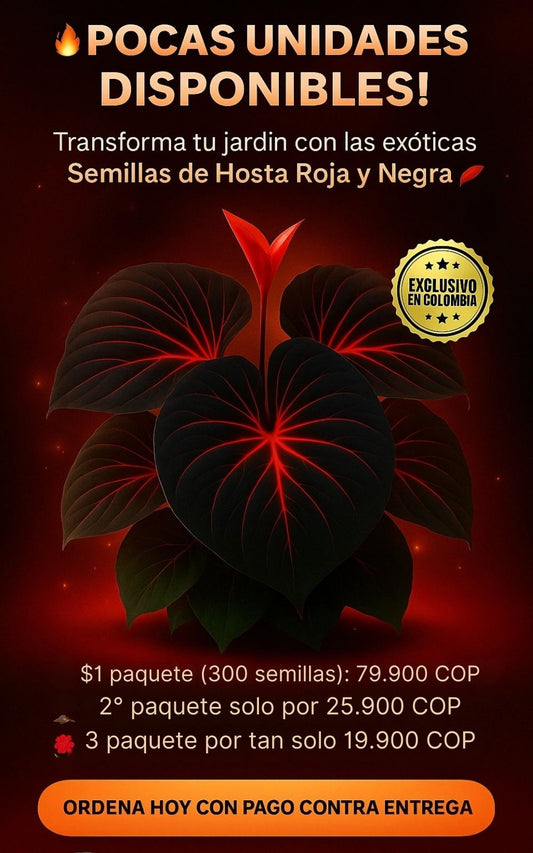 Semillas de Hosta Roja y Negra - PROMO 🤩