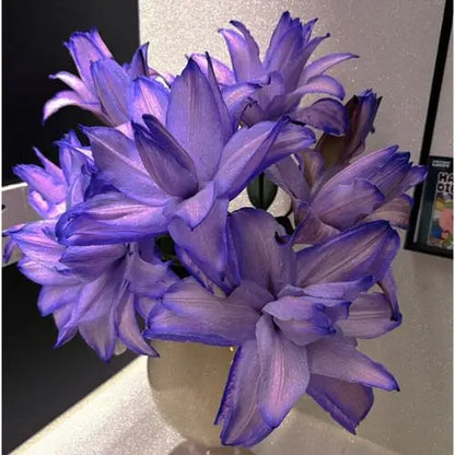 Semillas de Lirios Vibrantes - Flores Perfumadas Encantadoras