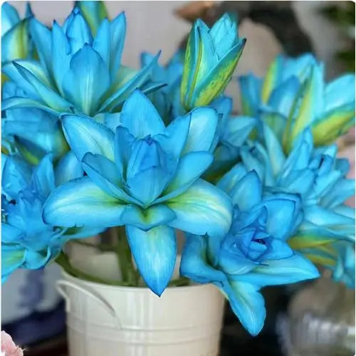 Semillas de Lirios Vibrantes - Flores Perfumadas Encantadoras