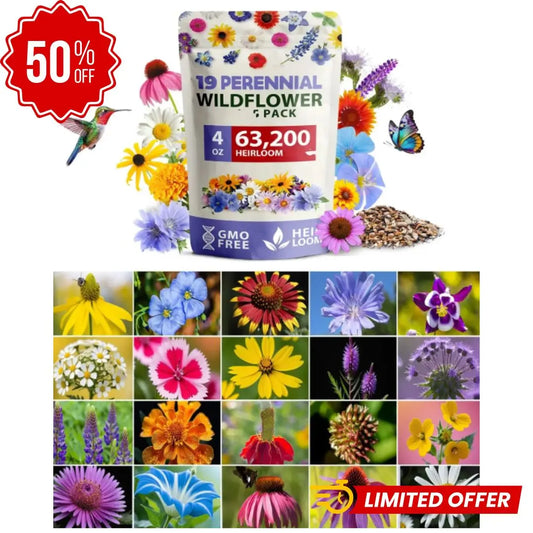 Flores Todo el Año – Semillas Mixtas Perennes